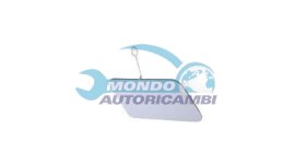 COPRIGANCIO TRAINO