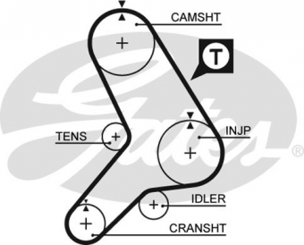 CINGHIA DISTRIBUZIONE