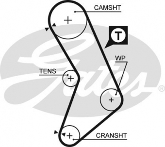 CINGHIA DISTRIBUZIONE