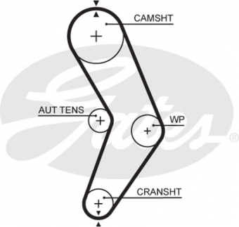 CINGHIA DISTRIBUZIONE