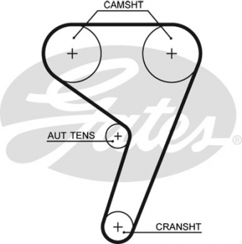 CINGHIA DISTRIBUZIONE
