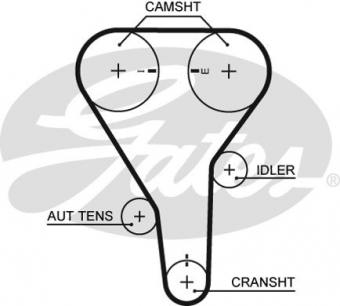 CINGHIA DISTRIBUZIONE