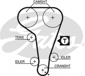 CINGHIA DISTRIBUZIONE