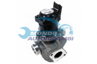 VALVOLA EGR, DSIPOSITIVO CONTROLLO EMISSIONE SCARICO, GRUPPO EGR, VALVOLA RICIRCOLAZIONE GAS, VALVOLA RICIRCOLO GAS SCARICO