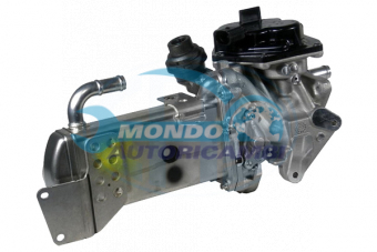 VALVOLA EGR, DSIPOSITIVO CONTROLLO EMISSIONE SCARICO, GRUPPO EGR, VALVOLA RICIRCOLAZIONE GAS, VALVOLA RICIRCOLO GAS SCARICO