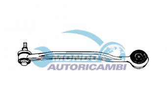 BRACCIO OSCILLANTE