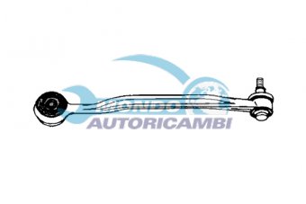 BRACCIO OSCILLANTE