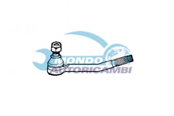 TESTINA STERZO