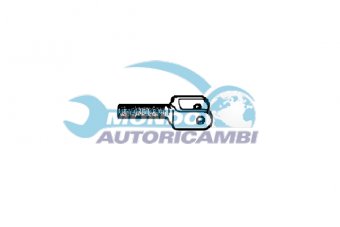 TESTINA STERZO