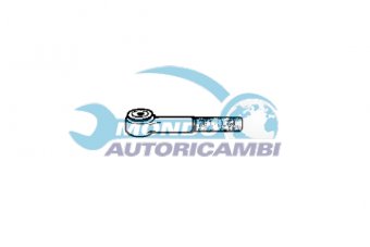 TESTINA STERZO