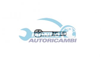 TESTINA STERZO