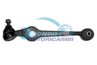BRACCIO OSCILLANTE