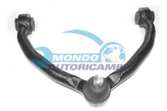 BRACCIO OSCILLANTE