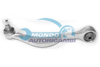 BRACCIO OSCILLANTE