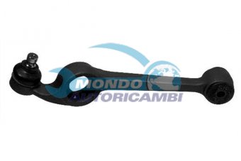 BRACCIO OSCILLANTE