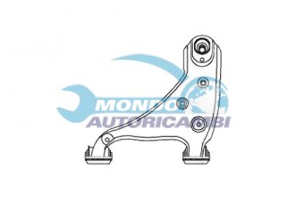 BRACCIO OSCILLANTE