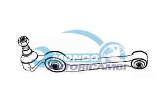 BRACCIO OSCILLANTE