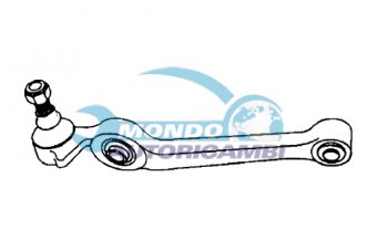 BRACCIO OSCILLANTE