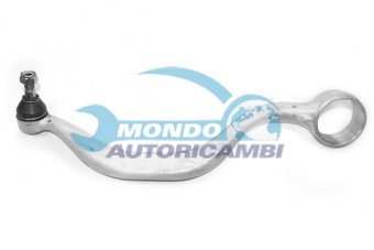 BRACCIO OSCILLANTE