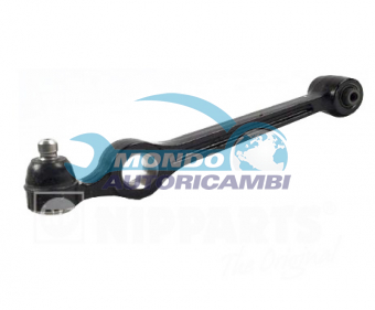 BRACCIO OSCILLANTE