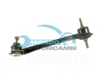 BRACCIO OSCILLANTE