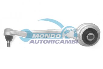 BRACCIO OSCILLANTE