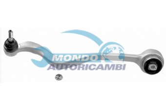 BRACCIO OSCILLANTE
