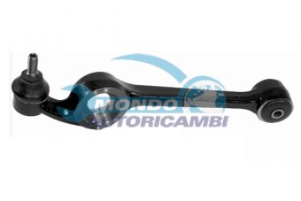 BRACCIO OSCILLANTE