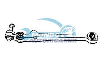 BRACCIO OSCILLANTE