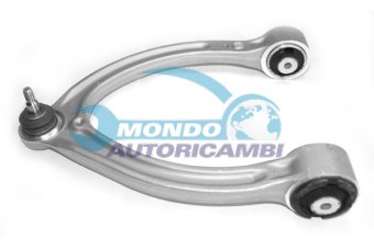 BRACCIO OSCILLANTE