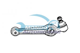 BRACCIO OSCILLANTE