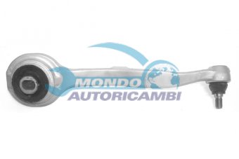 BRACCIO OSCILLANTE