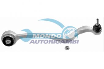 BRACCIO OSCILLANTE