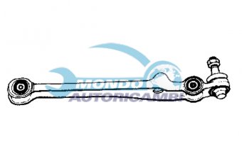 BRACCIO OSCILLANTE