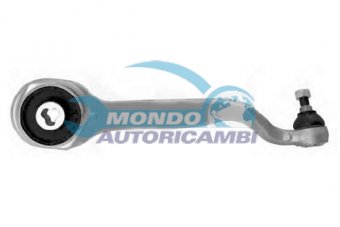 BRACCIO OSCILLANTE