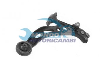 BRACCIO OSCILLANTE