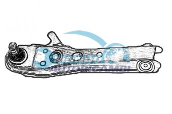 BRACCIO OSCILLANTE